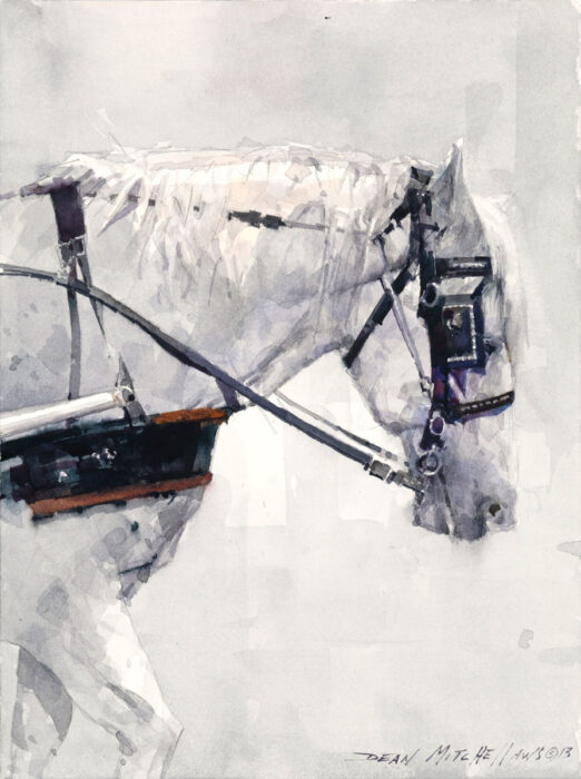 White Carriage Horse